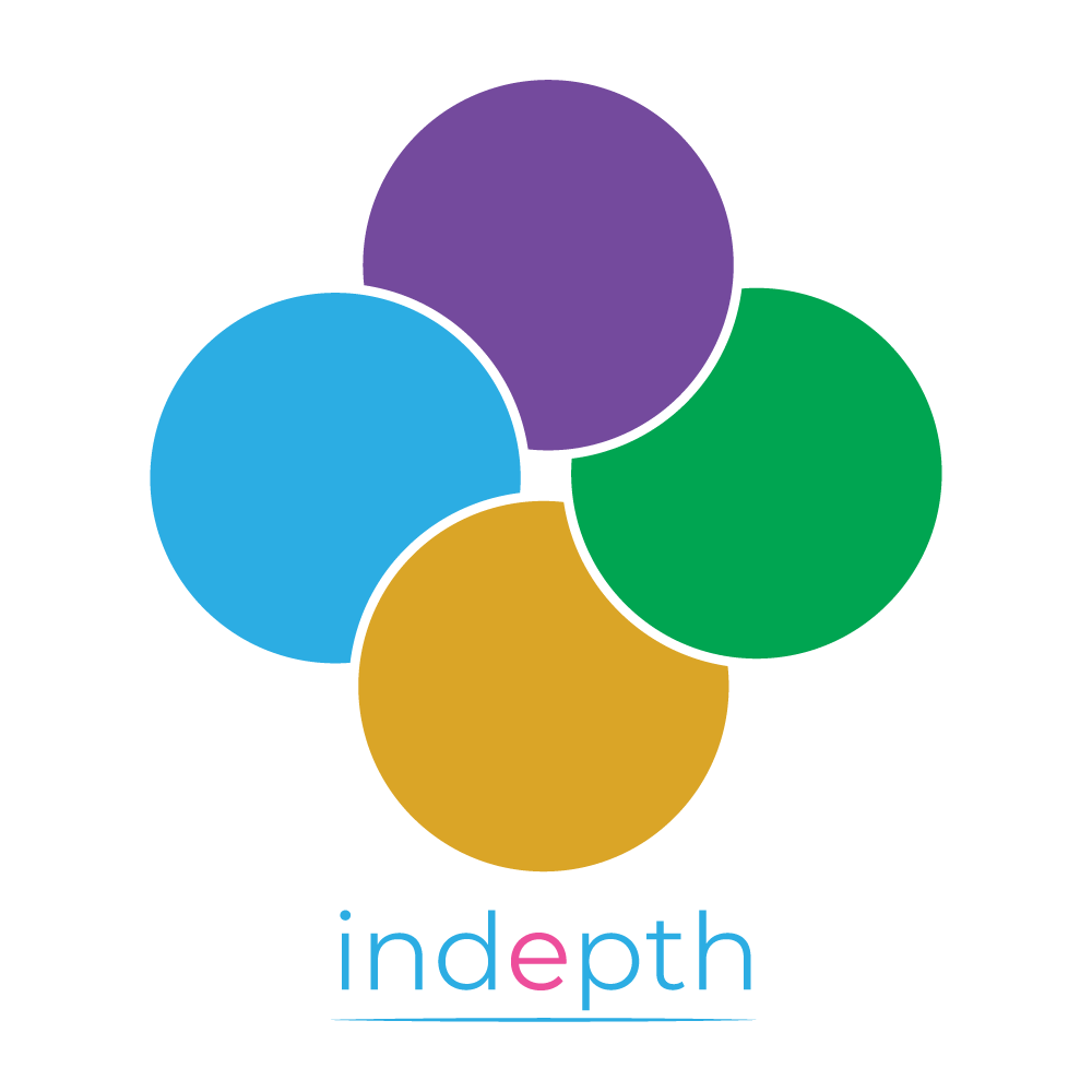 INDEPTH CONSULTING