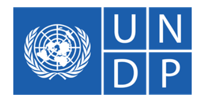 undp-logo